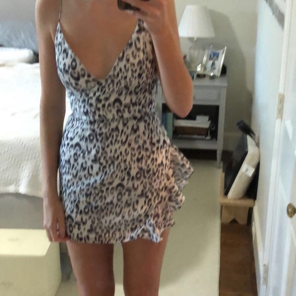 Revolve Leopard Mini Dress - Picture 5 of 6
